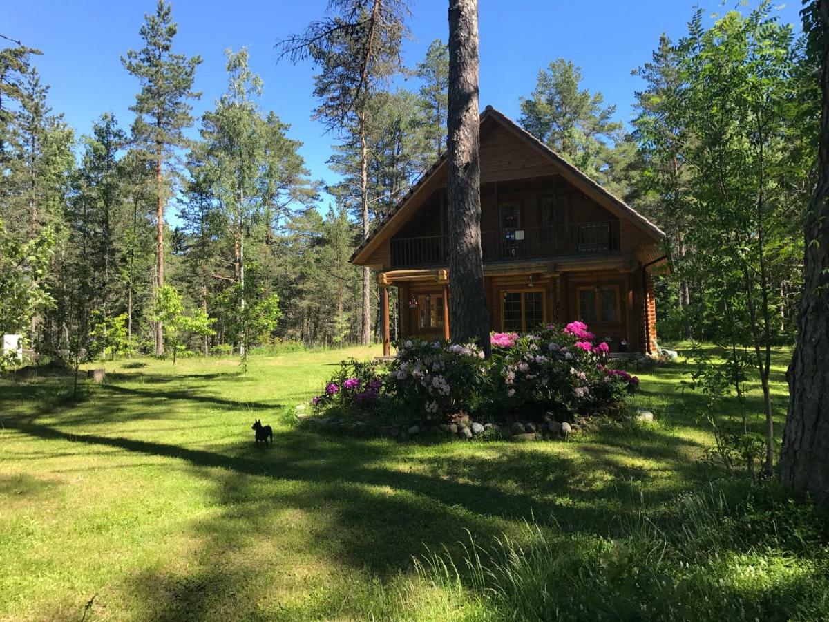 Meresihi Talu Vainupea Exterior foto
